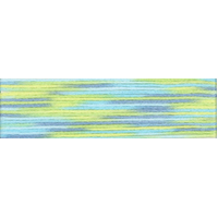 Cosmo Seasons Variegated Embroidery Floss 80 9003