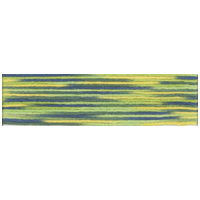 Cosmo Seasons Variegated Embroidery Floss (8027 - 8037)