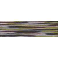 Cosmo Seasons Variegated Embroidery Floss 80 9007