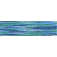 Cosmo Seasons Variegated Embroidery Floss 80 9014