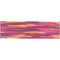 Cosmo Seasons Variegated Embroidery Floss 80 9020