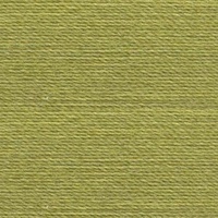 Rasant Thread 0453 - Light Khaki Green