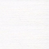 Rasant Thread 2002 - Bright White