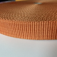 Polypro Belting 25mm Wide - Orange